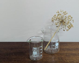 Par de vasos de precipitados de vidrio antiguos de laboratorio científico: 250 ml y 100 ml