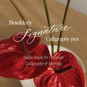 Signature Procreate Calligraphy Pen