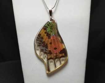 Sunset Moth Wing Sterling Silver Necklace One-of-a-Kind