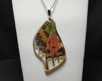 Sunset Moth Wing Sterling Silver Necklace One-of-a-Kind