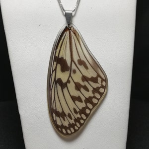 Paper Kite (Idea Leuconoe Obscura) Butterfly Wing Sterling Silver Necklace One-of-a-Kind