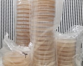 20 Pre-Poured Sterile Petri Dishes