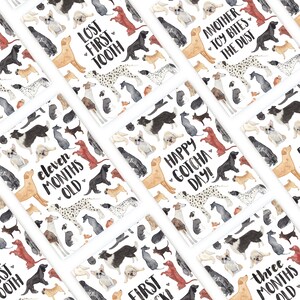 Puppy Milestone Cards (DIGITAL DOWNLOAD)