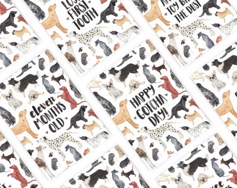 Puppy Milestone Cards (DIGITAL DOWNLOAD)