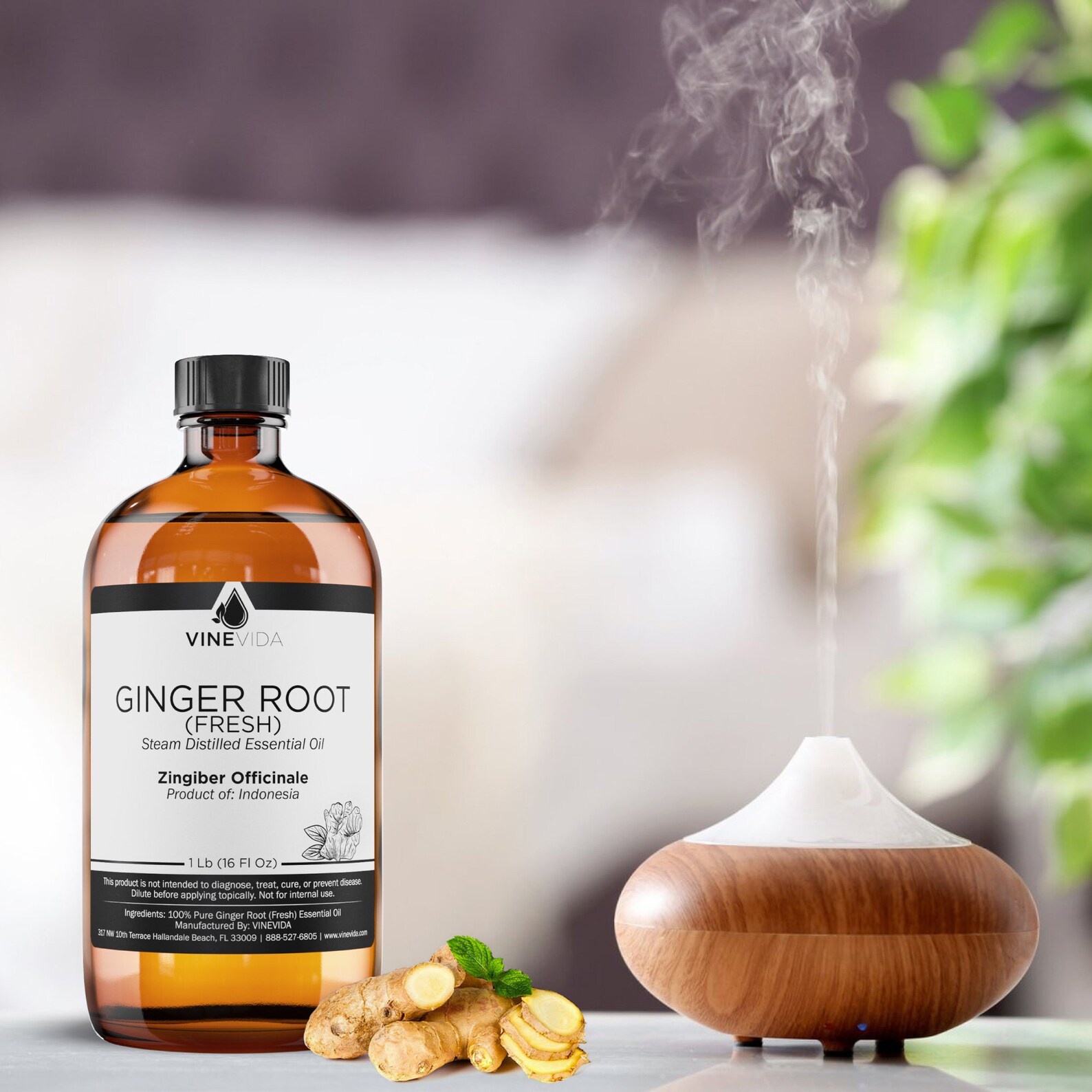 Bulk Ginger Root Essential Oil fresh 16 Oz 1 Pound in Glass Etsy