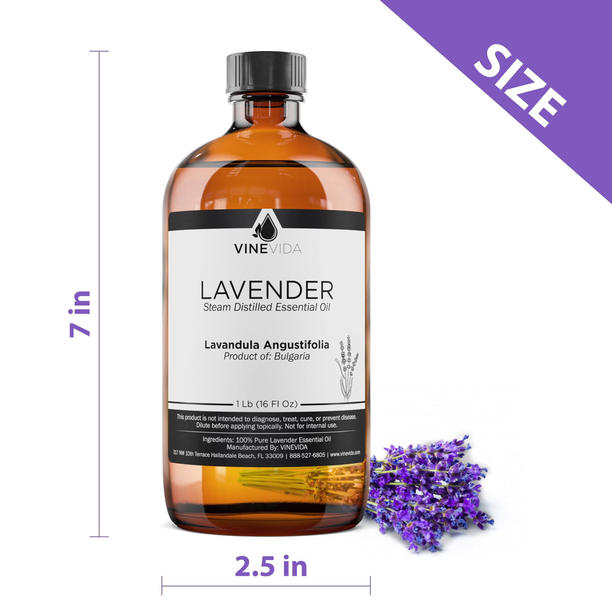 Bulk Lavender Essential Oil Bulgaria 16 Oz 1 Pound in Glass Etsy