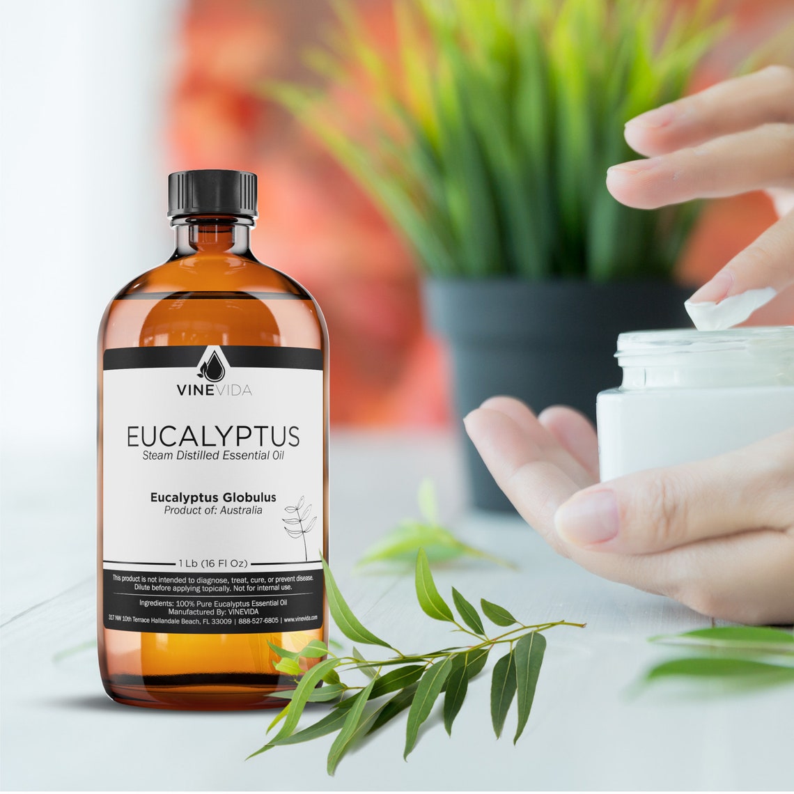 Bulk Eucalyptus Essential Oil 16 Oz 1 Pound in Glass Bottle Etsy