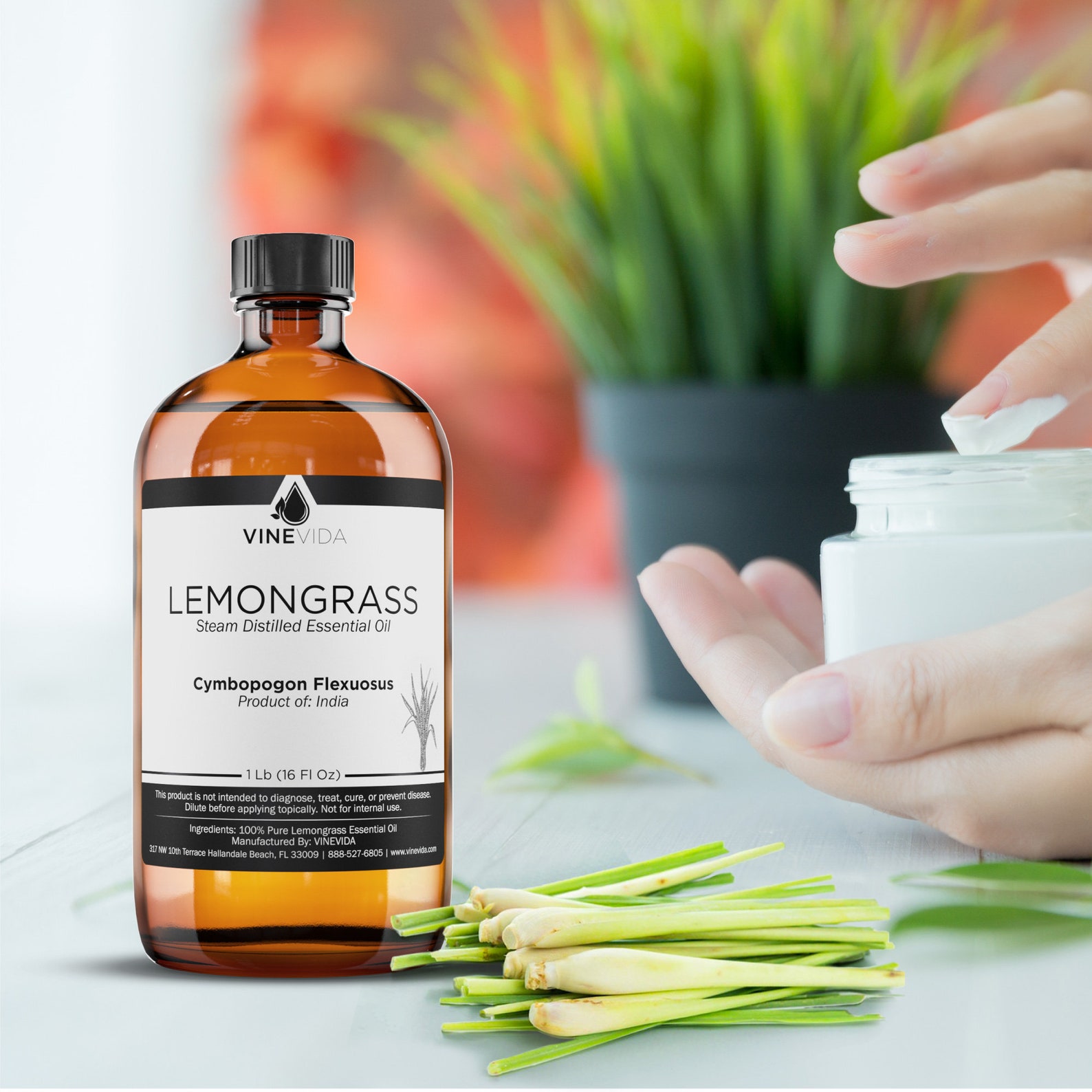 Bulk Lemongrass Essential Oil 16 Oz 1 Pound in Glass Bottle Etsy