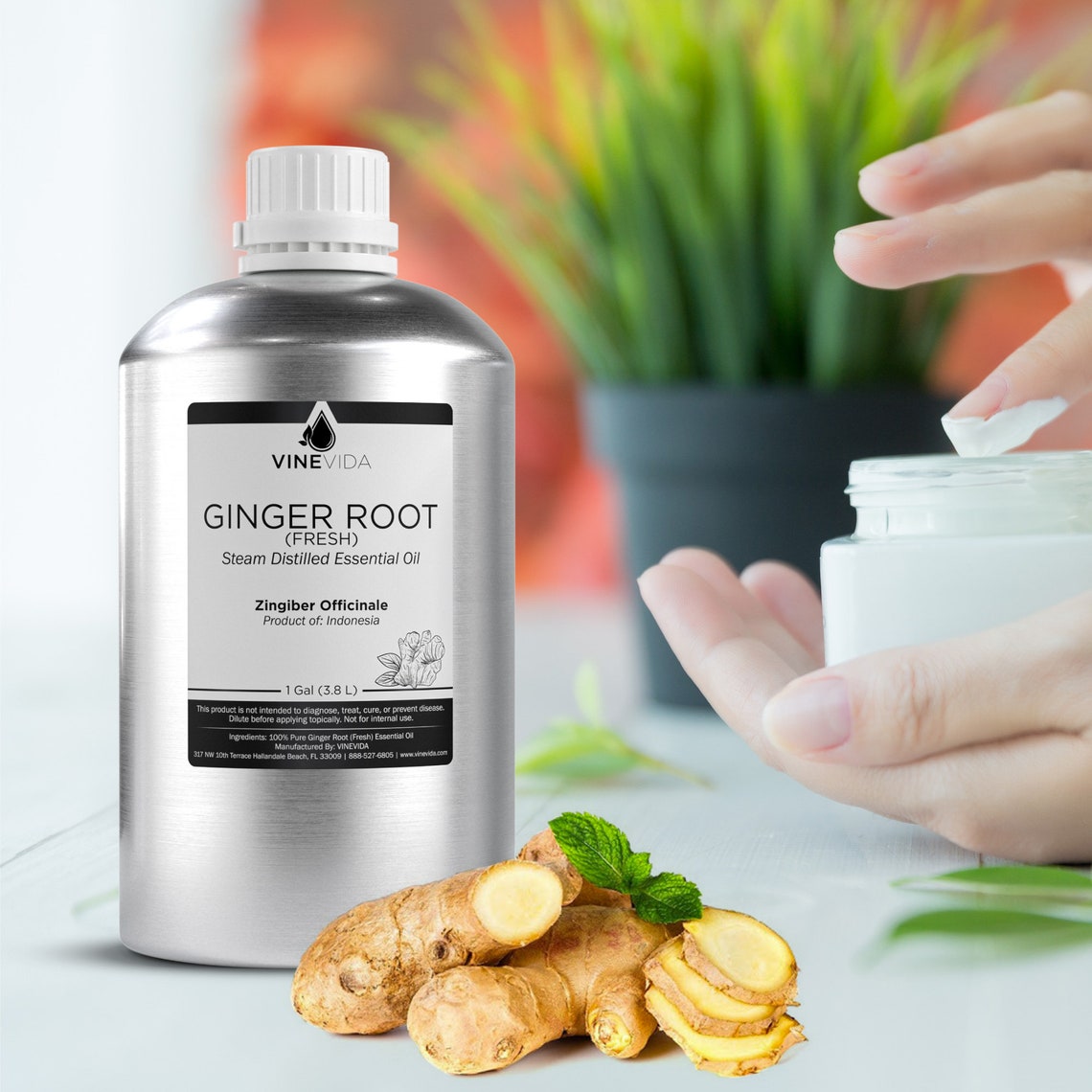 Bulk Ginger Root Essential Oil Gallon 8 Lbs in Aluminum Etsy