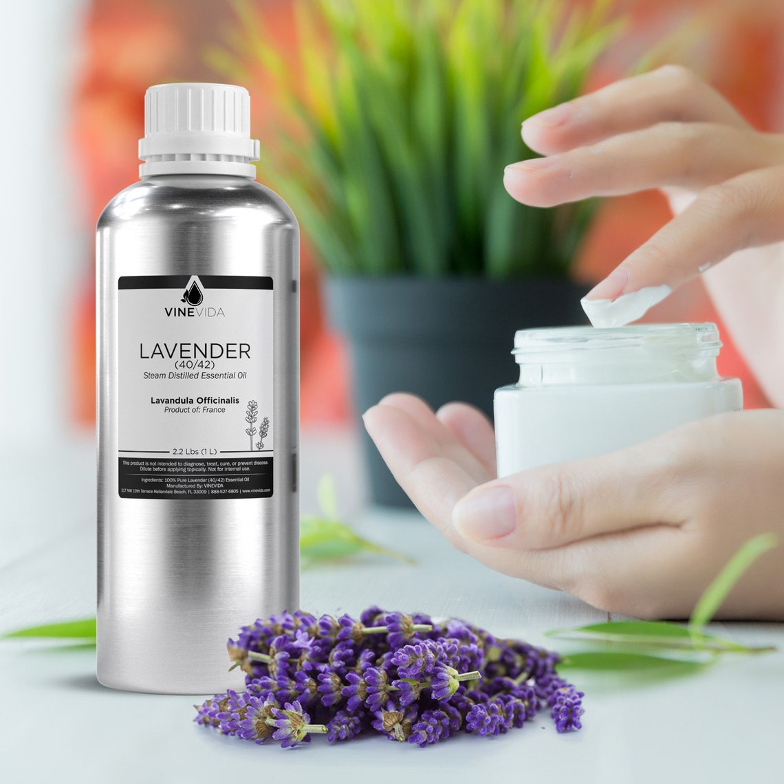 Bulk Lavender Essential Oil 4042 32 Oz 2 Lbs in Aluminum Etsy UK