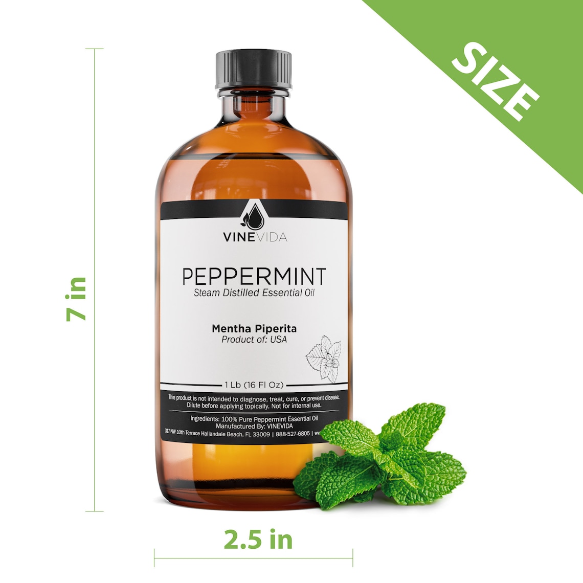 Bulk Peppermint Essential Oil 16 Oz 1 Pound in Glass Bottle Etsy