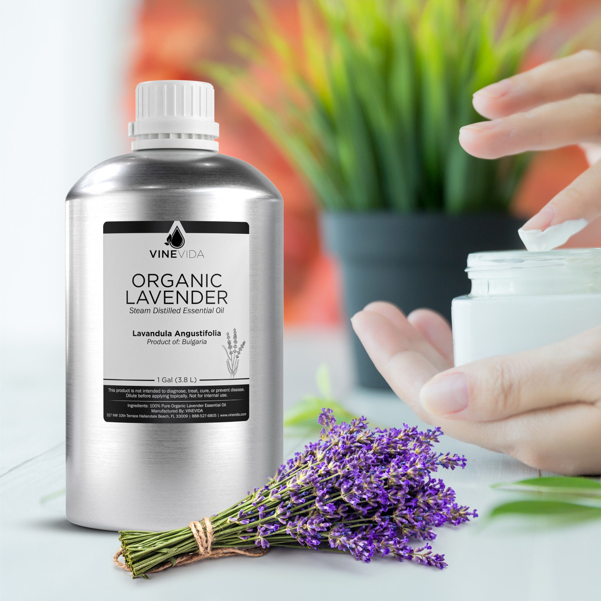Bulk Organic Lavender Essential Oil 1 Gal 8 Lb in Aluminium Etsy
