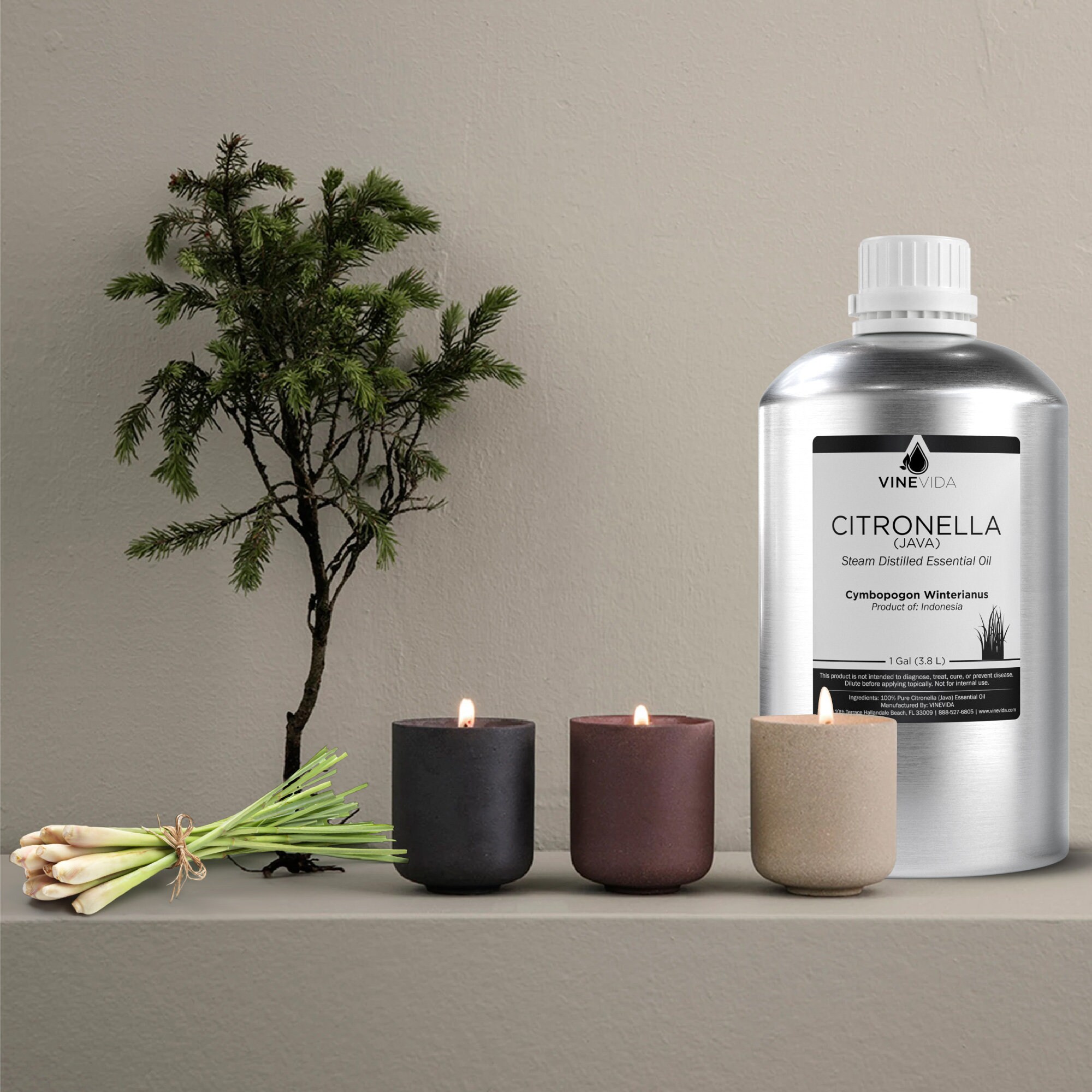 Bulk Citronella Java Essential Oil Gallon 8 Lbs in Aluminum Etsy UK
