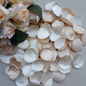 Petali di rosa champagne Petali di rosa avorio Decorazione di nozze Petali di ragazza di fiore Bridal Shower Decor Baby Shower Decor Petali Toss Aisle Runner