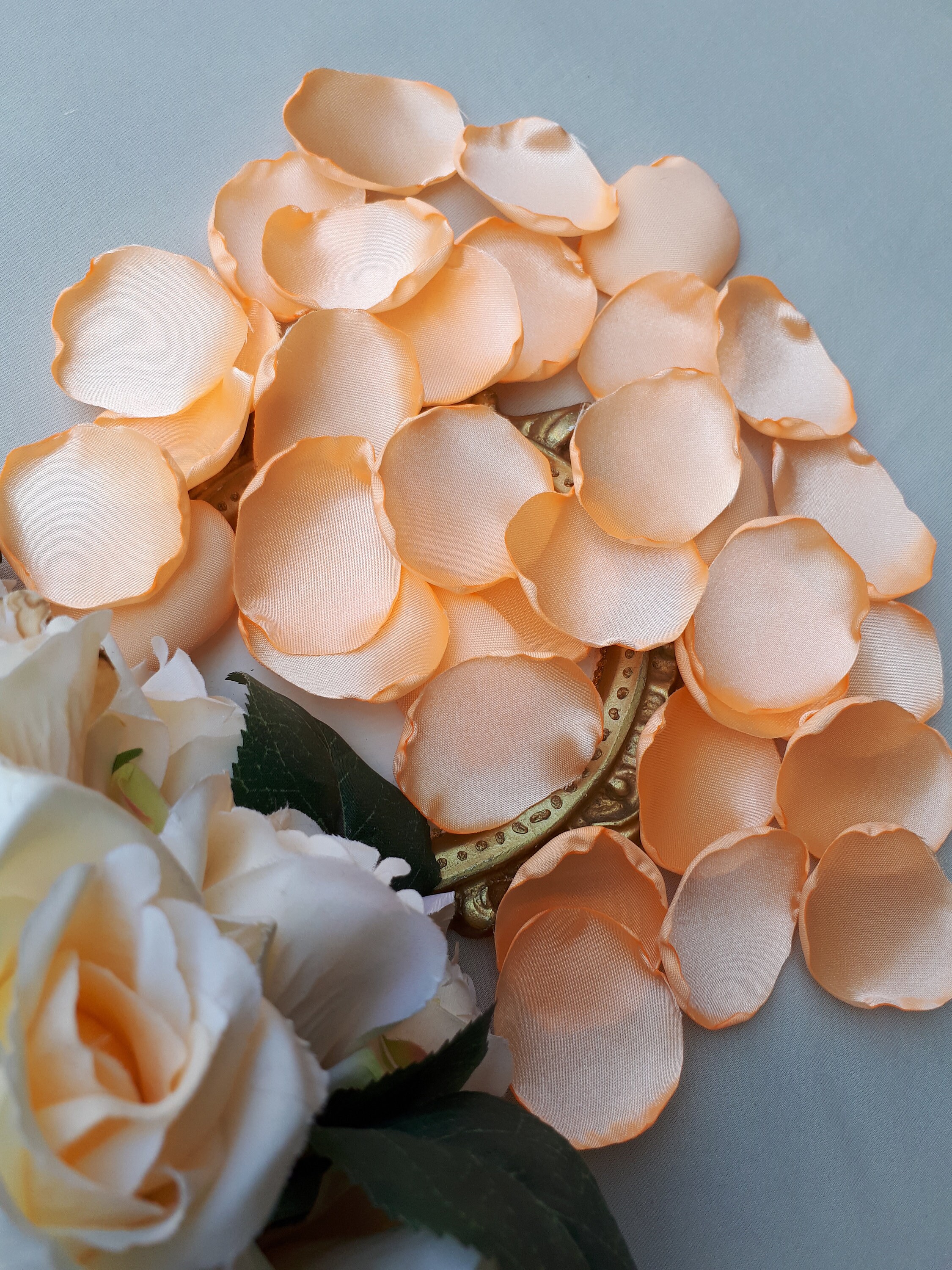 Apricot Rose Petals Peach Flower Petals Peach Fall Wedding Etsy