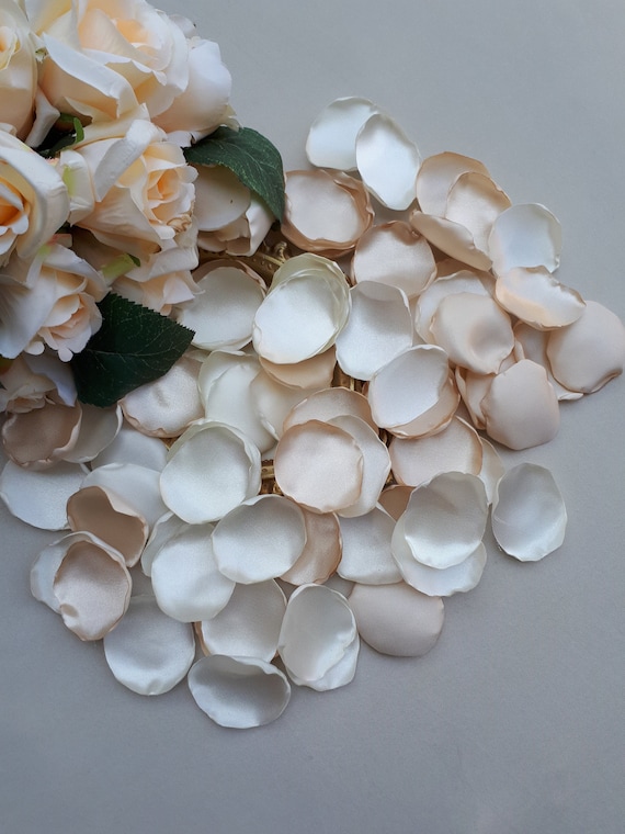 Champagne Blush Pink Artificial Rose Petals