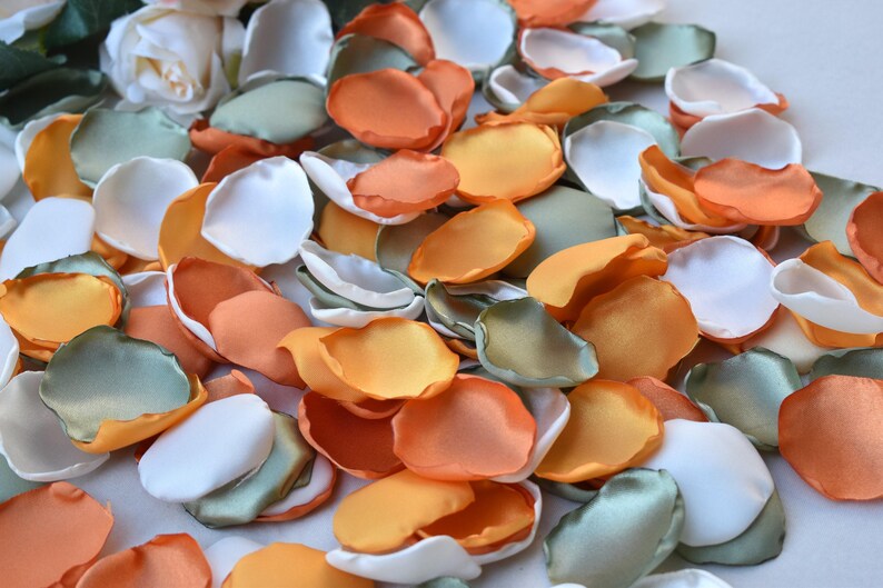 Sage Green Rose Petals, Ivory, Orange, Burnt Orange Rose Petals Fall Wedding Decor Flower Girl Petals Olive Green Decor Boho Wedding Decor image 3