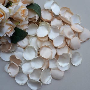 Champagne Rose Petals Ivory Rose Petals Wedding Decoration Flower Girl Petals Bridal Shower Decor Baby Shower Decor Petals Toss Aisle Runner