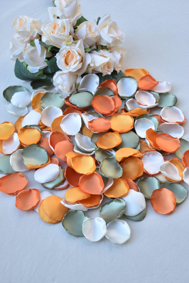 Sage Green Rose Petals, Ivory, Orange, Burnt Orange Rose Petals Fall Wedding Decor Flower Girl Petals Olive Green Decor Boho Wedding Decor image 5