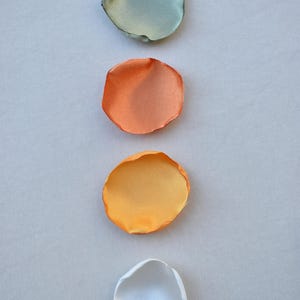 Sage Green Rose Petals, Ivory, Orange, Burnt Orange Rose Petals Fall Wedding Decor Flower Girl Petals Olive Green Decor Boho Wedding Decor image 6