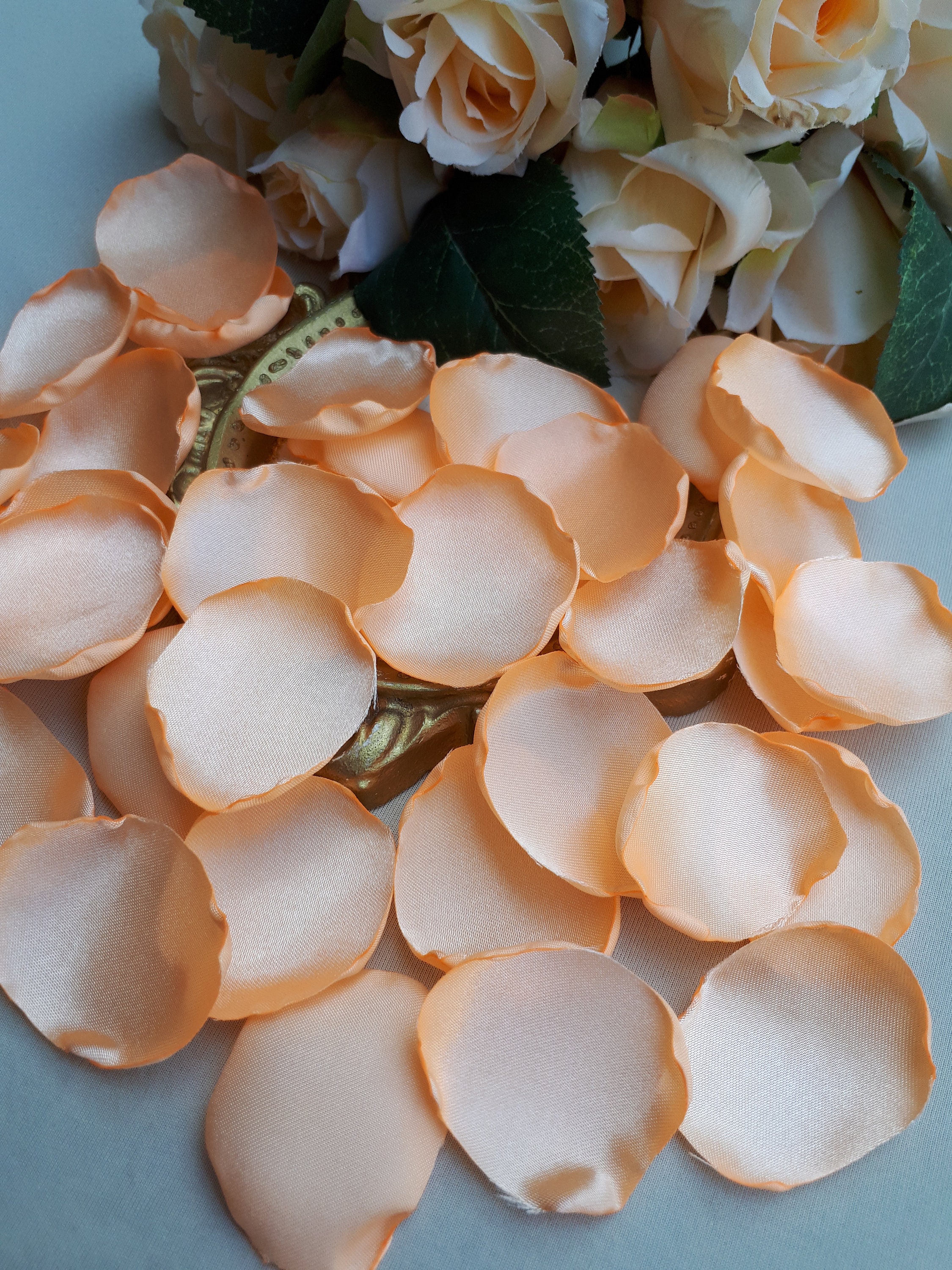 Apricot Rose Petals Peach Flower Petals Peach Fall Wedding Etsy