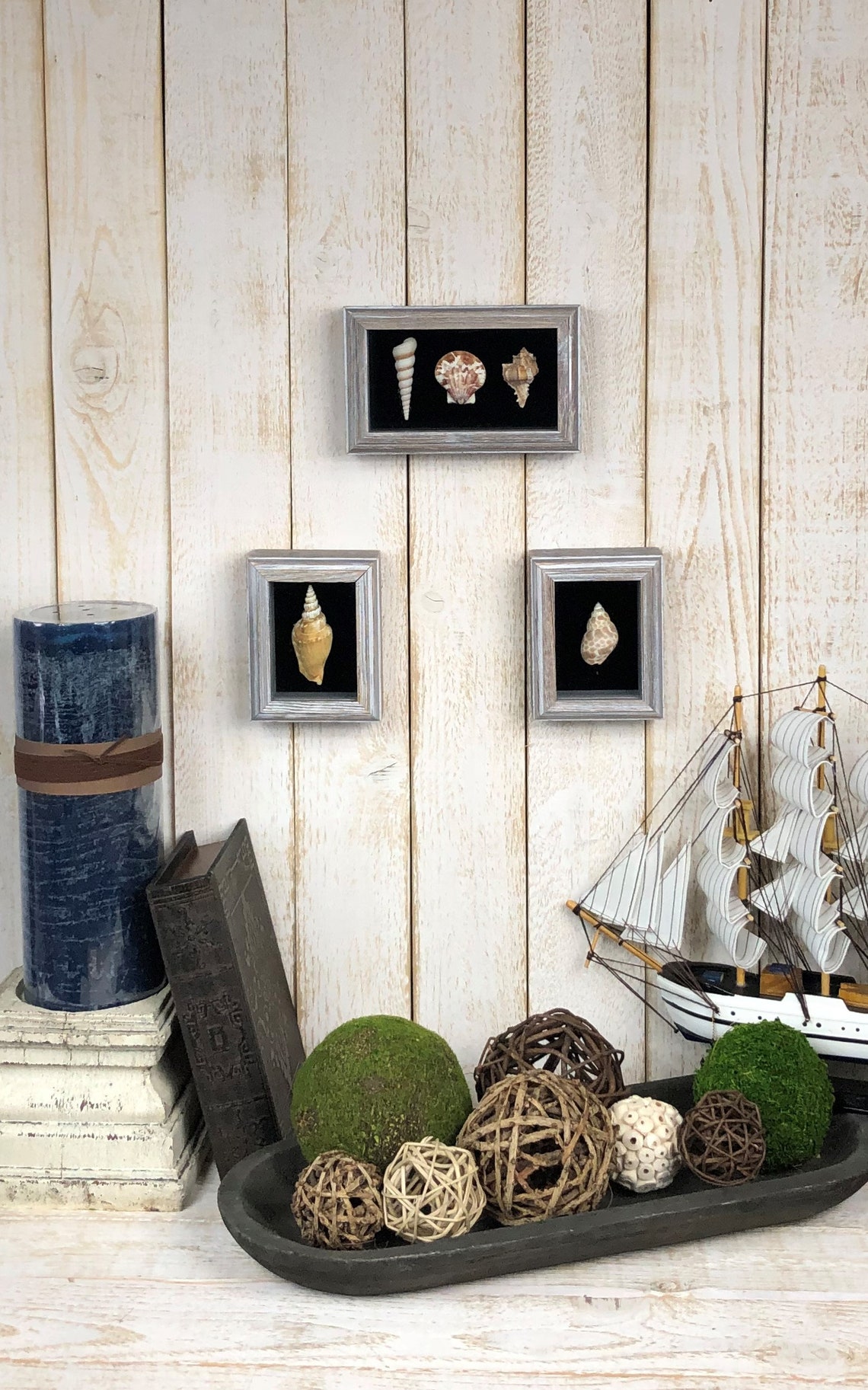 Framed Seashells Set of 3 Seashell Wall Décor Framed Sea Etsy