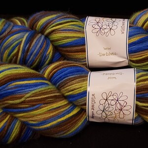 May include: Two skeins of hand dyed yarn in a multi-colored stripe pattern. The yarn is called "Live Colorful" and is made by Wildflower Knits.