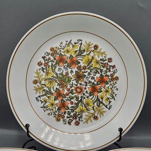 May include: Set of white ceramic dinner plates with a gold rim and a floral design featuring yellow, orange, and green flowers.