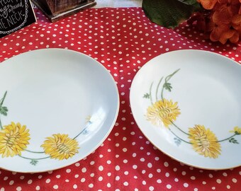 Heinrich & Co Selb Bavaria ~ Porcelain Pair of Yellow Mums, Chrysanthemum Salad Plates~ Cottage Core Aesthetic~ Depression Era Dinnerware