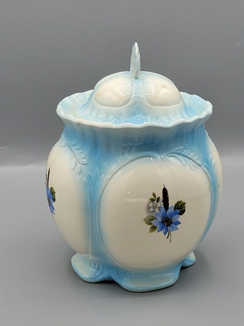 Retro Kitchen Canister With Lid Robin's Egg Blue With Etsy