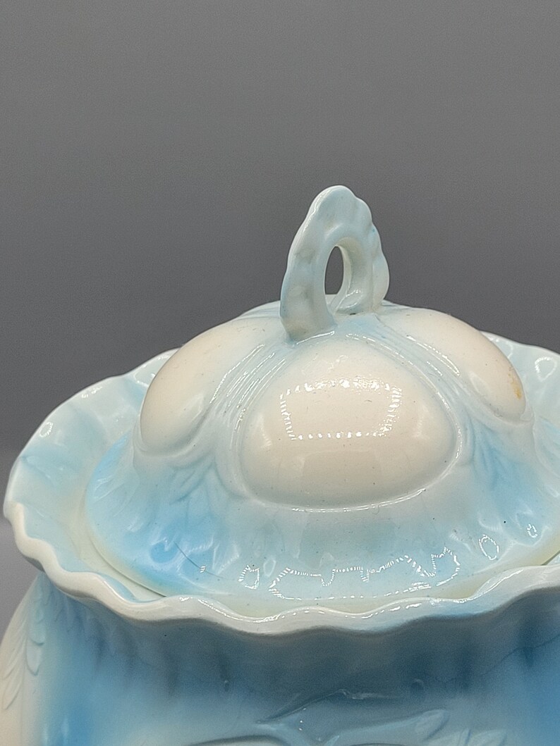 Retro Kitchen Canister With Lid Robin's Egg Blue With Etsy