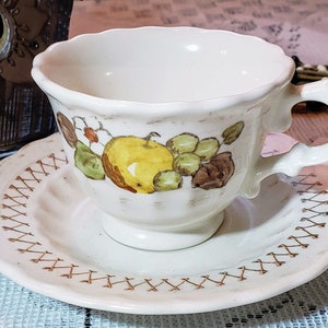 Peut inclure: Une tasse à thé et une soucoupe blanches avec un motif de couture marron autour du bord de la soucoupe. La tasse à thé a un motif floral et fruitier avec une pomme jaune, des raisins verts et des feuilles brunes.