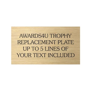 Awards4U Replacement Plate Trophy