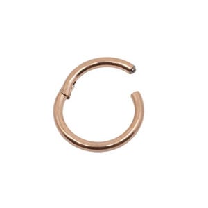 Puede incluir: Un anillo segmentario con bisagra de oro rosa para piercing corporal. El anillo está hecho de acero quirúrgico y tiene un acabado liso.