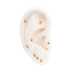 May include: A display of gold-colored ball stud earrings arranged on a white ear model. The earrings are small and round, with a polished finish. The ear model is a light, neutral color, providing a clean backdrop for the jewelry.