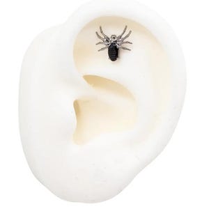 Boucle d'oreille araignée en cristal noir et argent avec haltères (boucle d'oreille sans fil, boucle d'oreille à l'arrière plat, clou à poussoir, boucle d'oreille araignée noire, bouchon en titane)