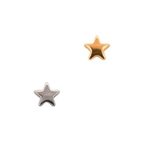 Small Star Earring & Barbell Silver (Threadless Flat Back Earring, Threadless Stud, Titanium Earring Top, Star Earring, Star Studs)
