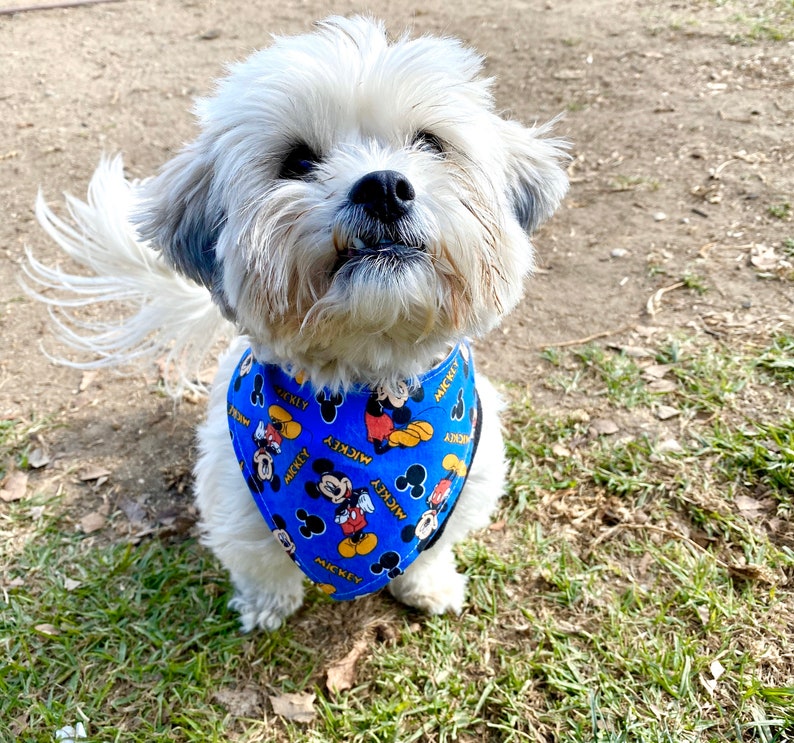 Mickey Mouse Dog Bandana Pet Bandana Reversible Dog Bandana Etsy