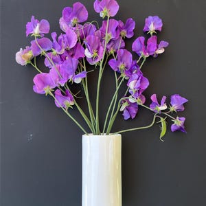 Art Poster: Flowering Sweet Peas, Pink