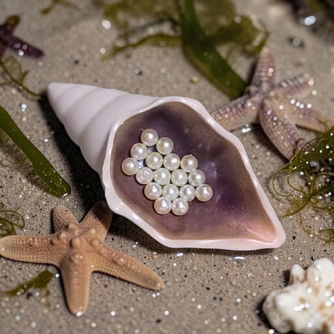 Witchery Shell Sea Witch Conch Sea Shell Jewelry Dish – Dark Amethyst & Iridescent ...