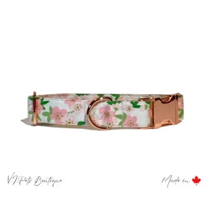 White w/ Pink Flowers Dog Collar | Collier Chien | Spring Floral Fleurs | 5/8"-1.5"