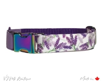May include: Purple dog collar with a white background and a lavender floral print. The collar has a rainbow iridescent buckle.
