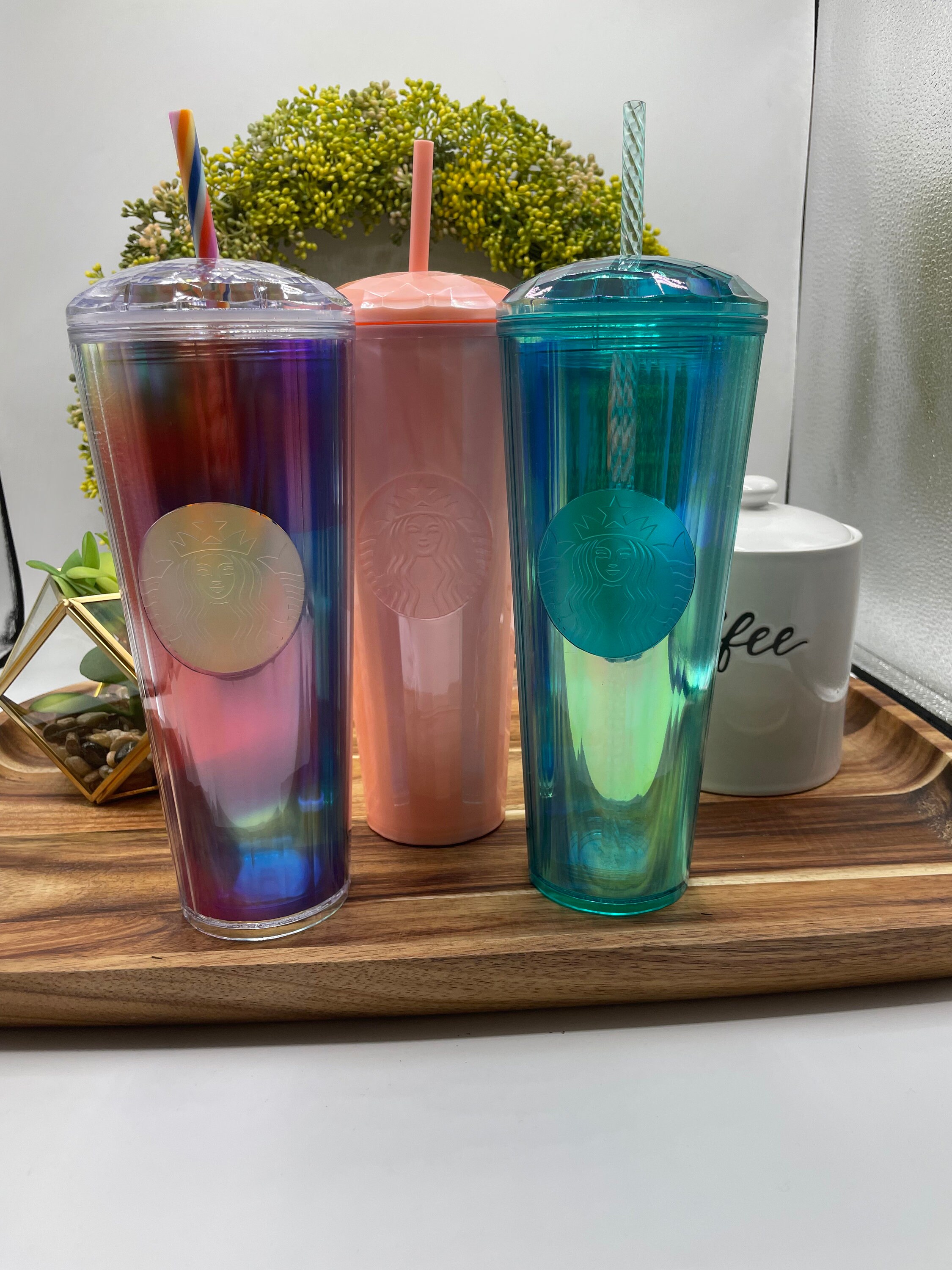 Starbucks New Summer Cups 2024 Benny Cecelia
