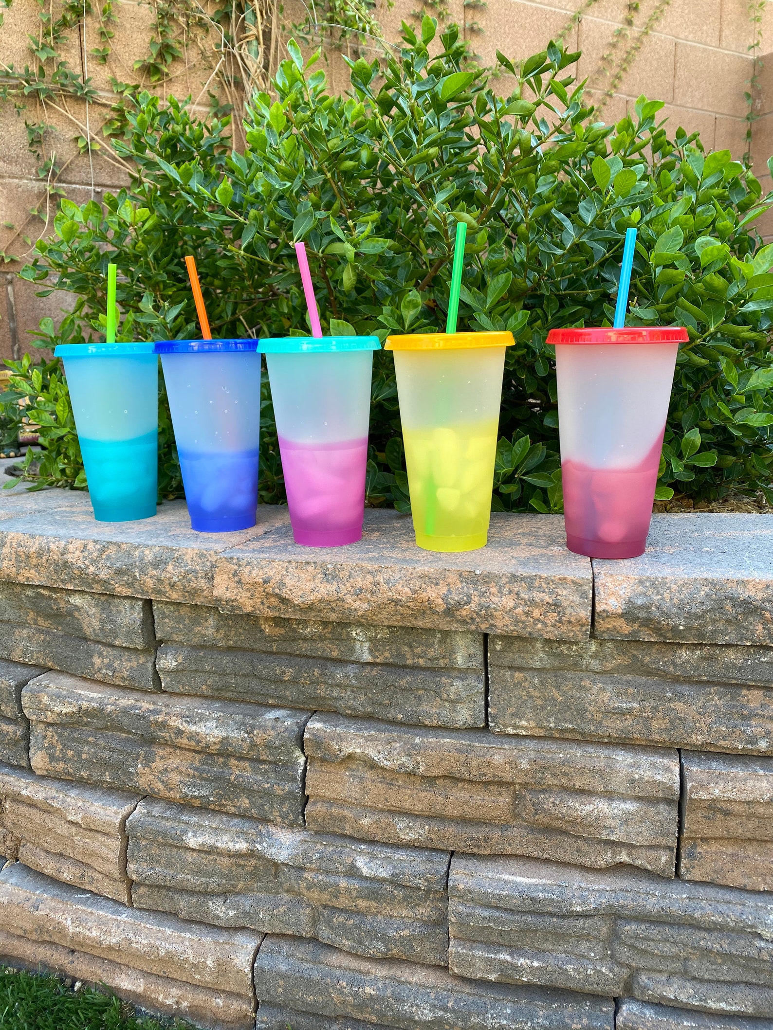 Color Changing Tumblers 5 Pack 24oz Cup Blank Cups Vinyl Etsy UK