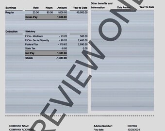Checkstub Templates Paystub Income Statements Etsy