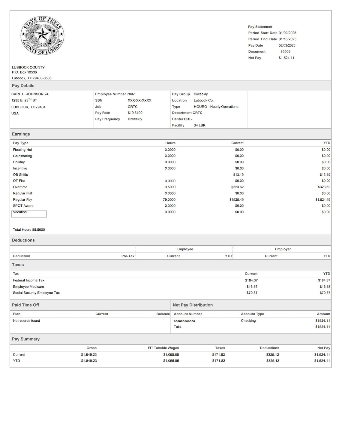 Online Paychecks Checkstub Template Professional Editable PDF