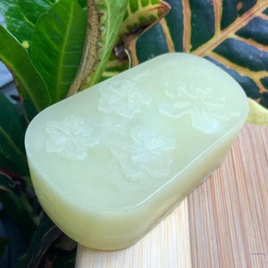 May include: A light green rectangular bar of soap with three embossed flower designs. The soap is set against a backdrop of green and yellow leaves and a wooden surface.