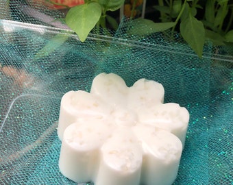 Dead Sea Salt Soap