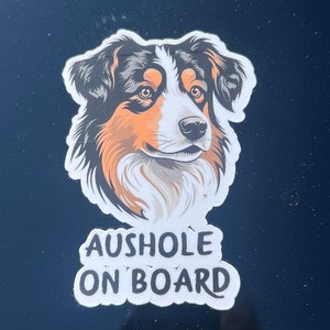 Aushole na pokładzie