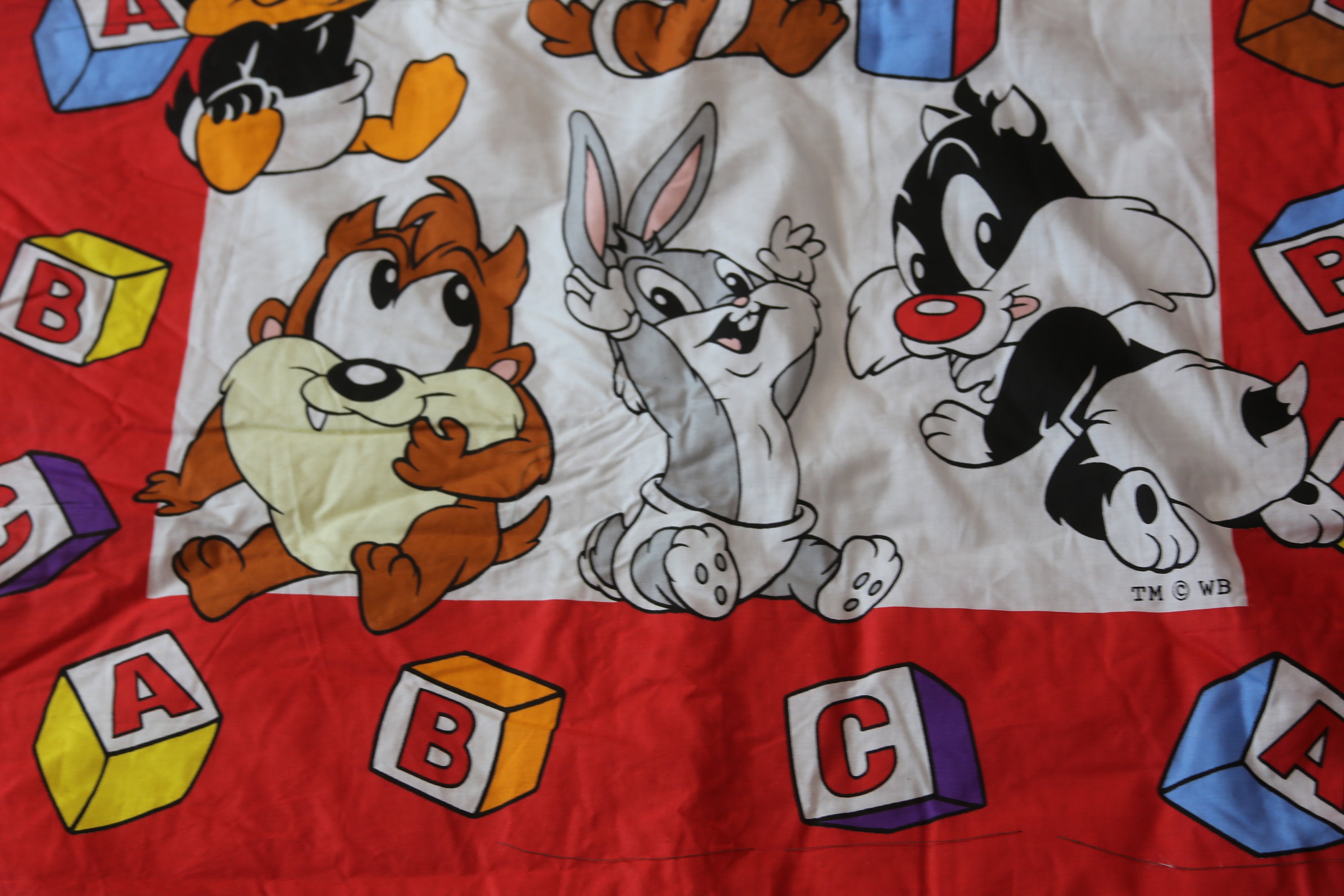 Unfinished Looney Tunes Cartoon Character Pillow Cover Etsy